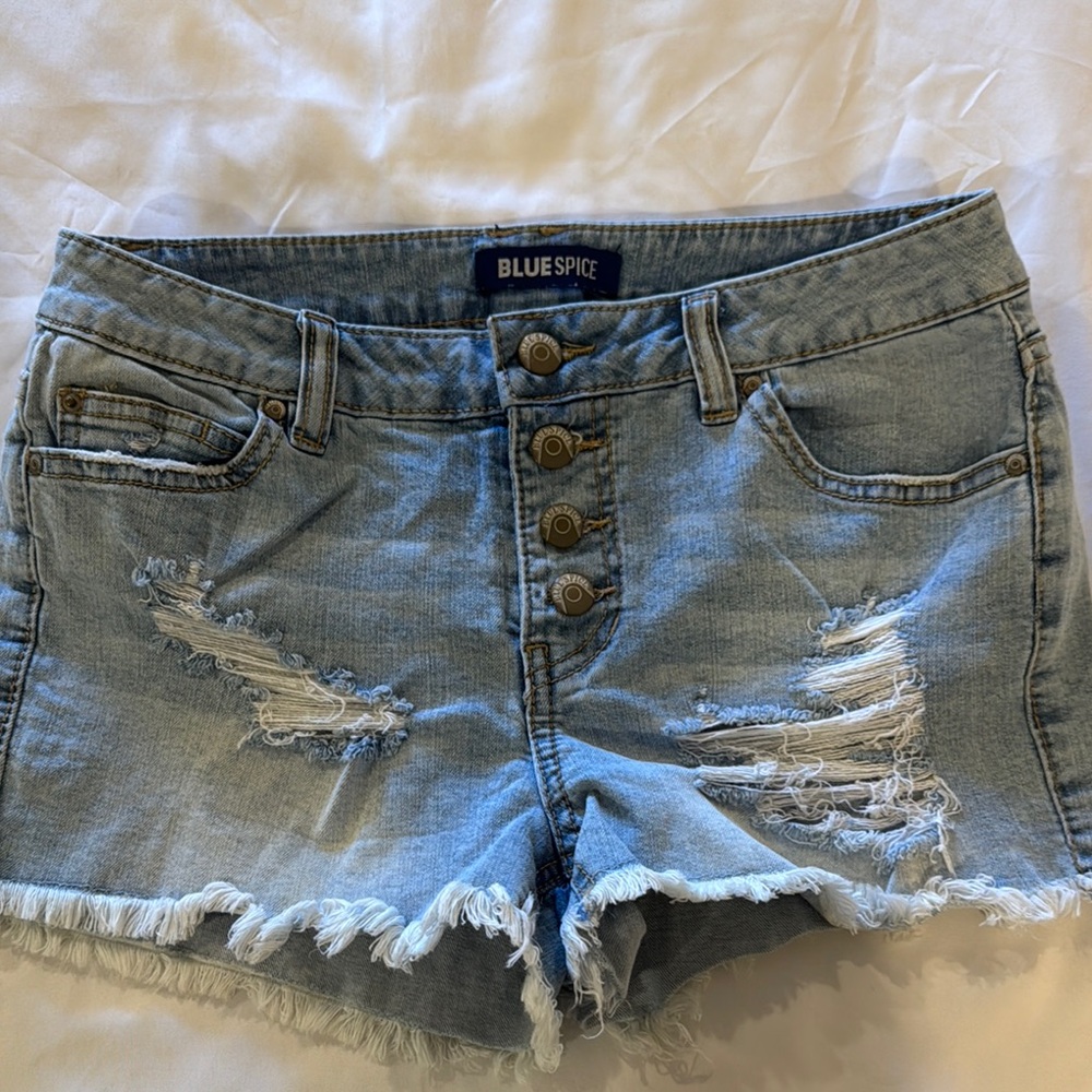 Blue Spice Shorts 5